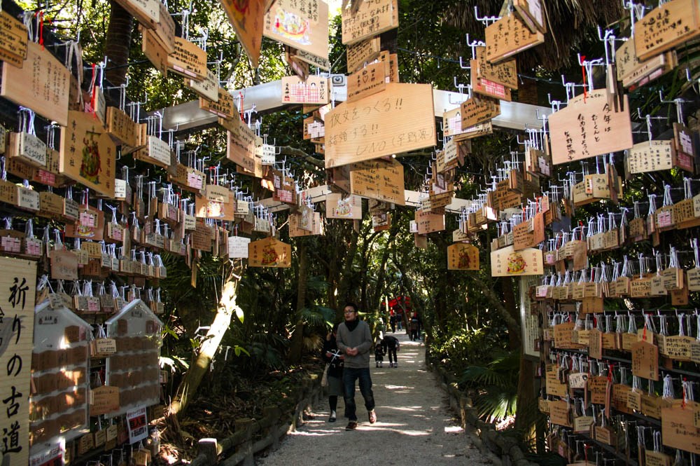 Aoshima Island - Miyazaki Travel