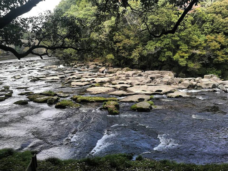 riverbed with potholes and trees amazing fun interactive outdoors relax find yourself japan miyazaki