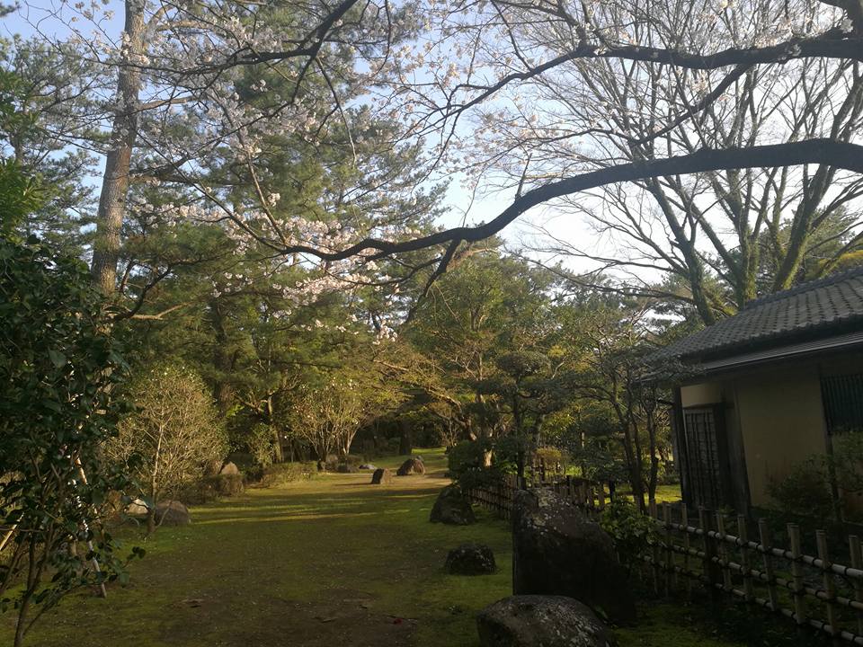 japanese tea garden miyazaki aoshima