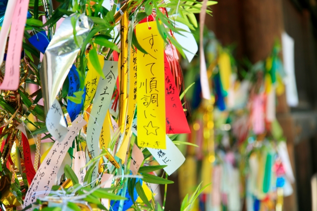 stargazing outdoor activity miyazaki summer tanabata