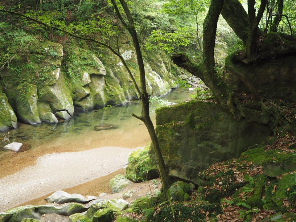 kaeda valley forest bathing spa wow beautiful miyazaki dating spots
